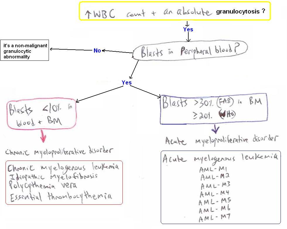 Cancer flow chart3