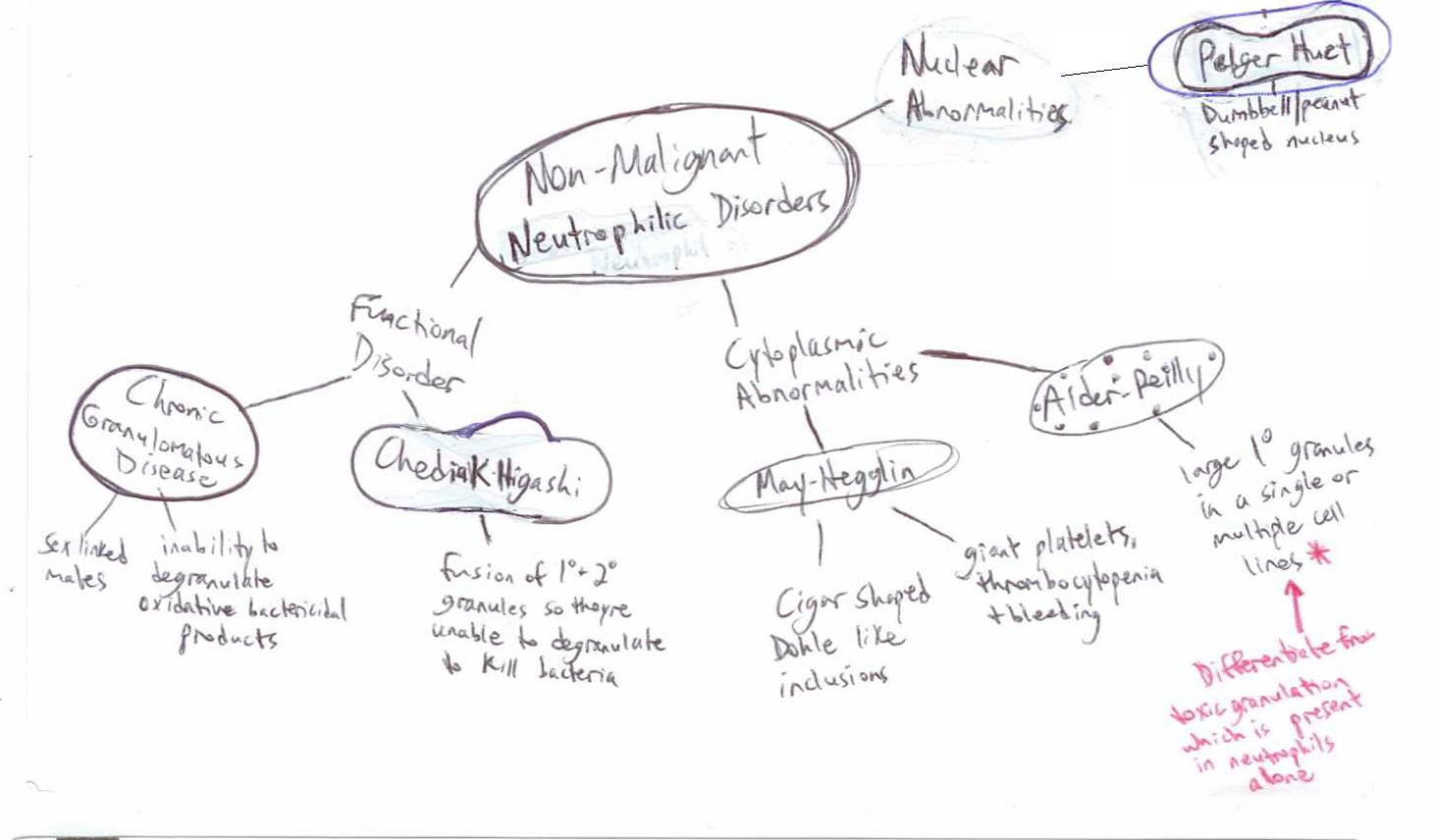Granulocyte abnormalities