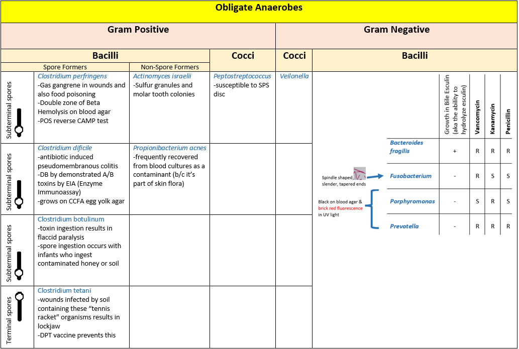 Obligate anaerobes