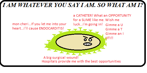 Cartoon of a slimy gram-positive coccus boasting about catheters, surgical wounds, endocarditis and UTIs.